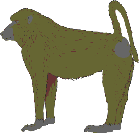 Near surrounding of Windhoek