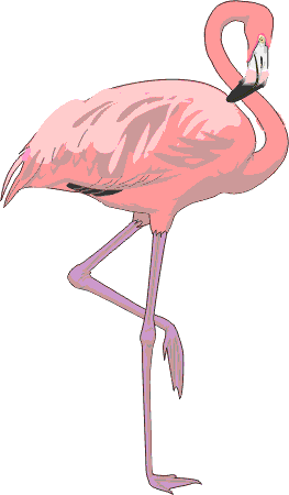 Middle part of Namib-Naukluft-Park