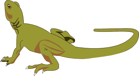 Sesriem and Sossusvlei