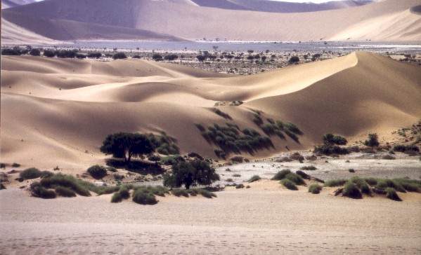 Sossusvlei